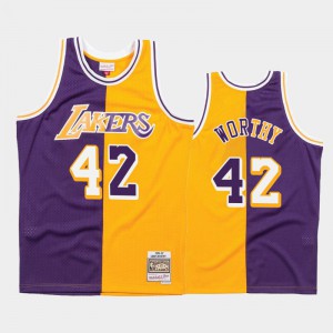 Men's James Worthy #42 Los Angeles Lakers Lakers Hardwood Classics Split Purple Gold Jersey 572359-997