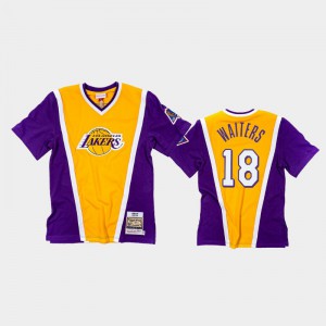 Men's Dion Waiters #18 Los Angeles Lakers Purple Gold Authentic Shooting Classic T-Shirts 307834-964