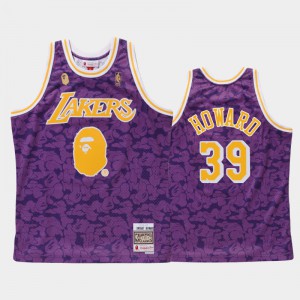 Men's Dwight Howard #39 Los Angeles Lakers Classic BAPE X Mitchell Purple Jersey 371029-472