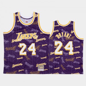 Mens Kobe Bryant #24 Tear Up Pack Purple Los Angeles Lakers Hardwood Classics Jersey 120964-414