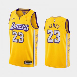 Men LeBron James #23 Los Angeles Lakers 2020 NBA Finals Champions Gold City Jersey 685427-824