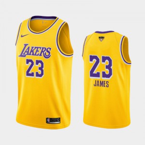 Men LeBron James #23 Yellow Los Angeles Lakers Social Justice Icon 2020 NBA Finals Bound Jerseys 868117-892