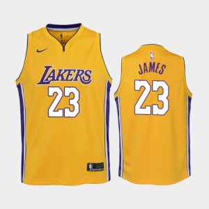 Youth Lebron James #6 Icon Gold Los Angeles Lakers Jerseys 943958-425