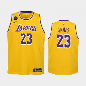 Youth LeBron James #23 Los Angeles Lakers 2020 Remember Kobe Bryant Icon Gold Jersey 807328-323